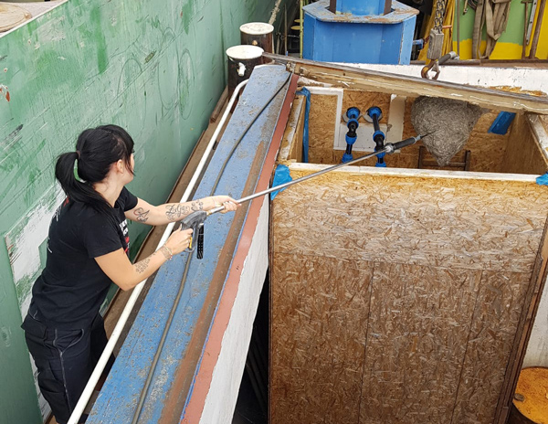 Schädlingsbekämpfung in Berlin von Annika Sprenger