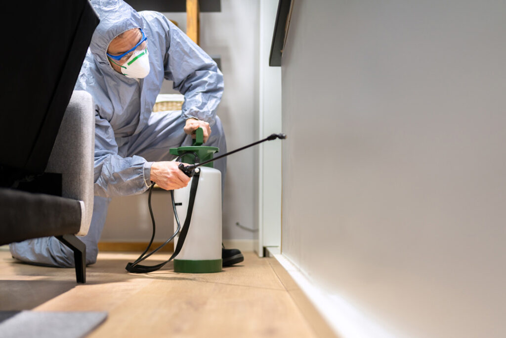 Maschinelle Schädlingsbekämpfung in Berlin